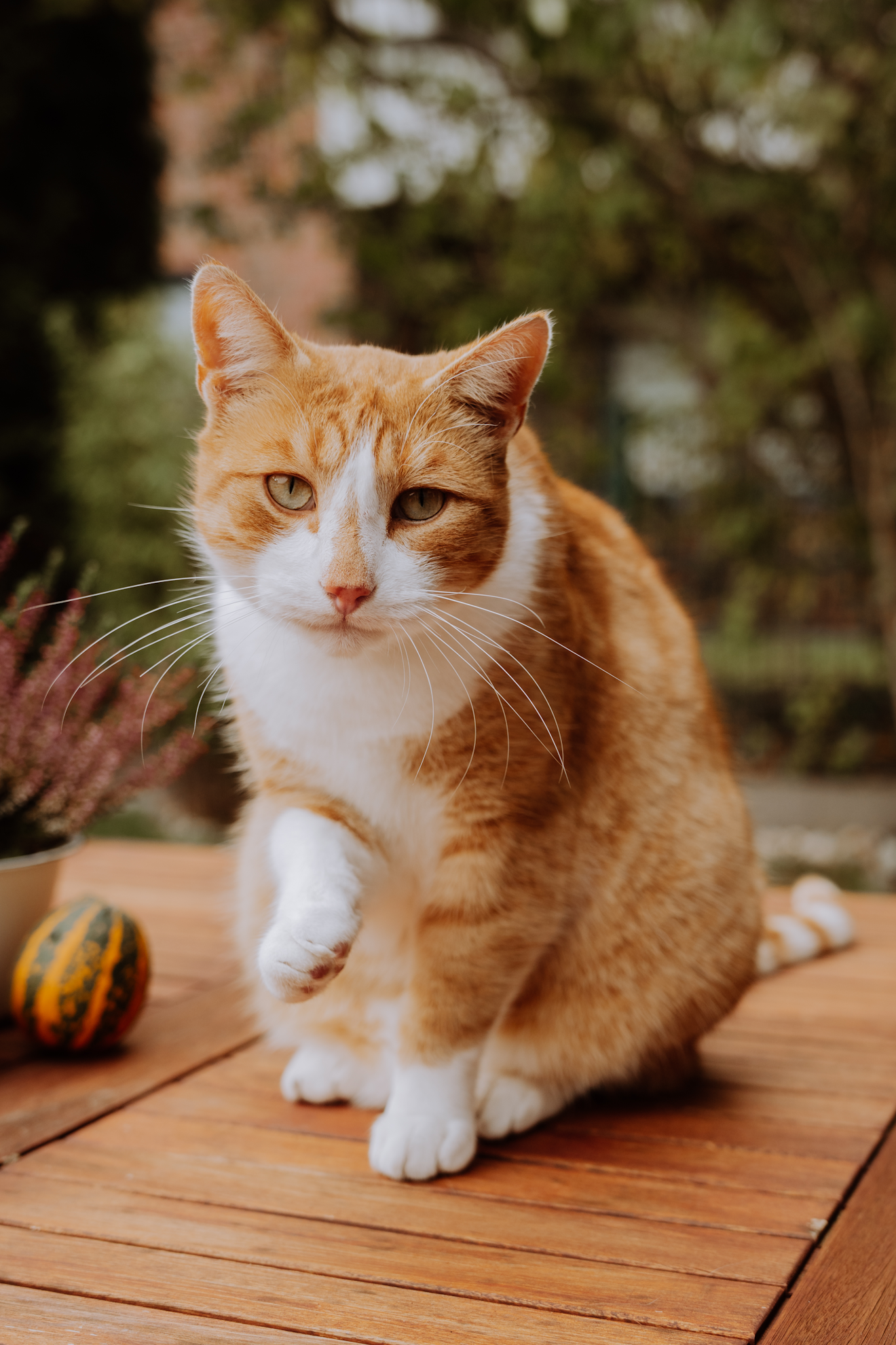 DSC03485bearbeitet hochformat