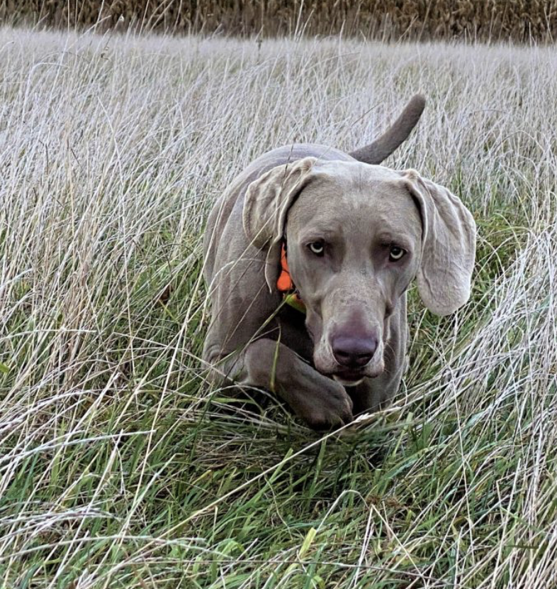 Bildschirmfoto 2026 02 03 um 18.31.52